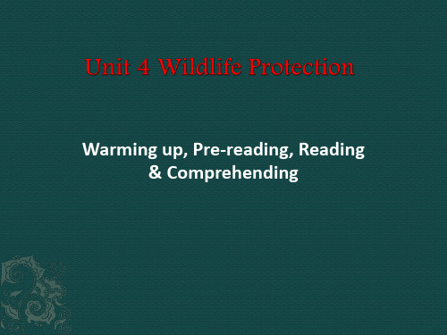 公开课(必修二)unit 4 Wildlife Protection ppt课件