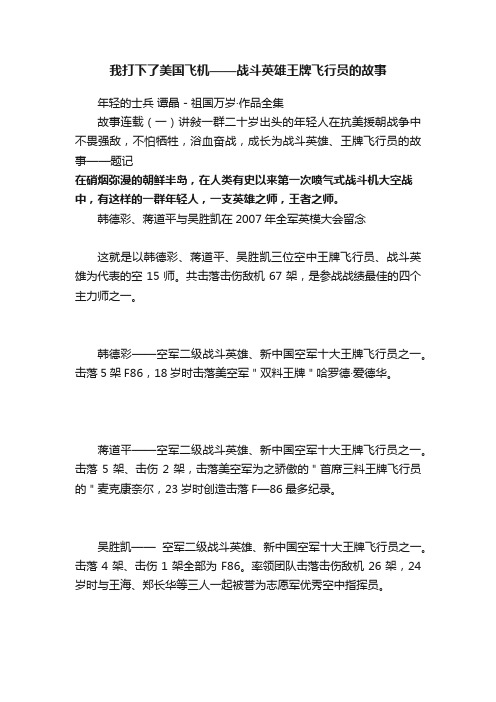 我打下了美国飞机——战斗英雄王牌飞行员的故事