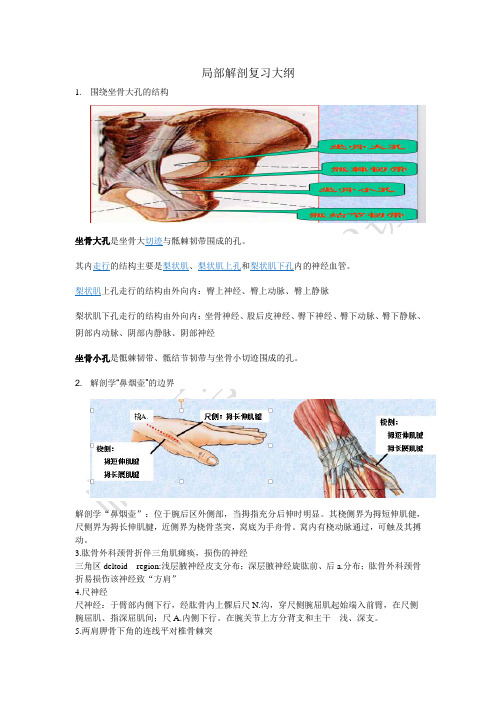 局部解剖重点及参考答案