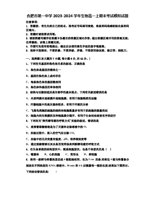 合肥市第一中学2023-2024学年生物高一上期末考试模拟试题含解析