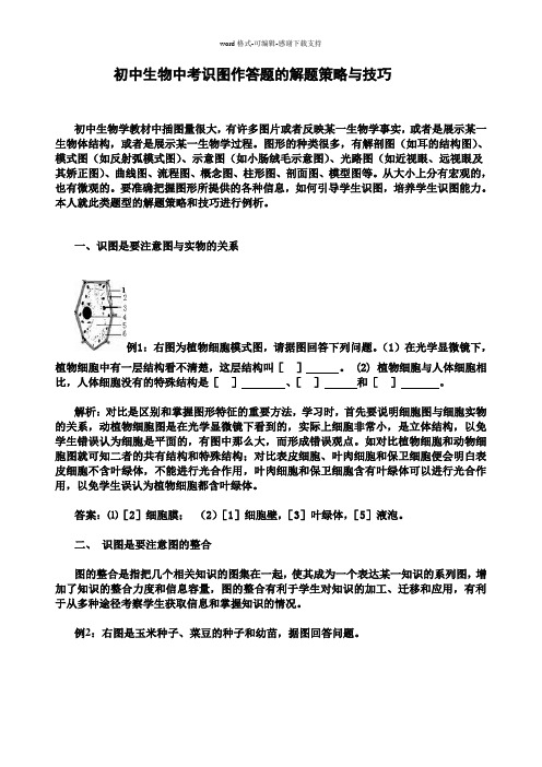 初中生物中考识图作答题的解题策略与技巧