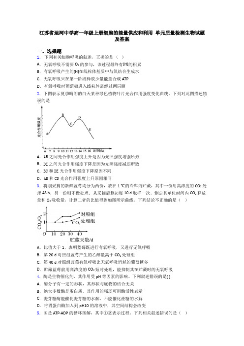 江苏省运河中学高一年级上册细胞的能量供应和利用 单元质量检测生物试题及答案