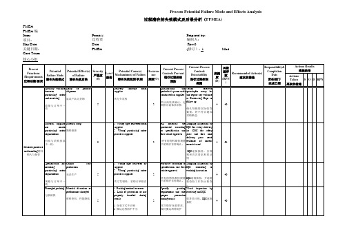PFMEA-中英文版