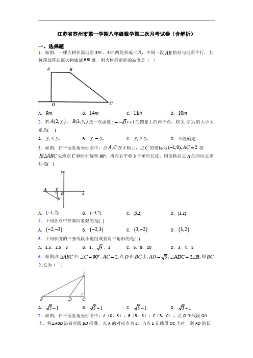 江苏省苏州市第一学期八年级数学第二次月考试卷(含解析)