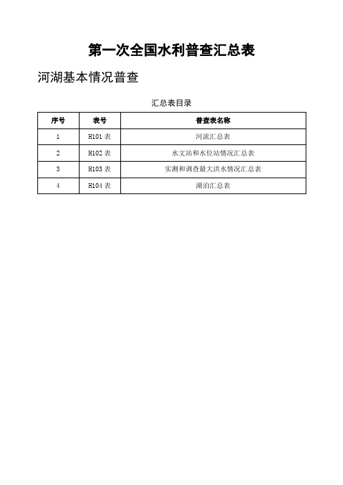 全国水利普查表—汇总表