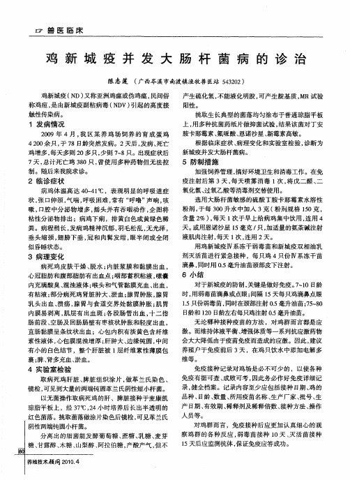 鸡新城疫并发大肠杆菌病的诊治