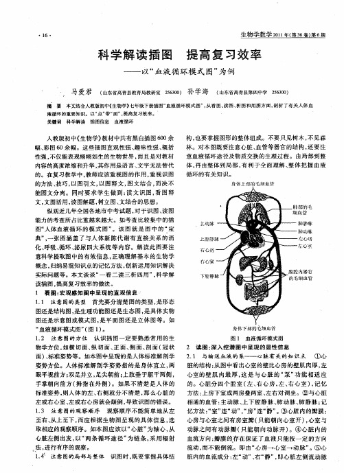 科学解读插图  提高复习效率——以“血液循环模式图”为例