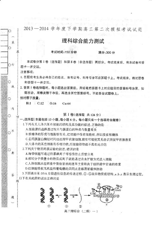 【辽南协作体二模】辽宁省辽南协作体2014届高三第二次模拟考试 理综试题 PDF版无答案