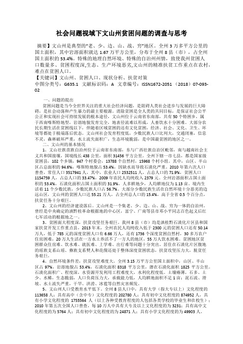 社会问题视域下文山州贫困问题的调查与思考29