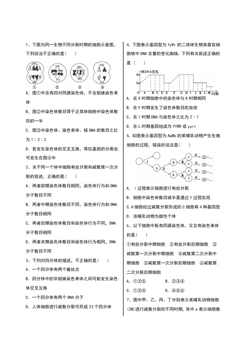 减数分裂经典试题附解析