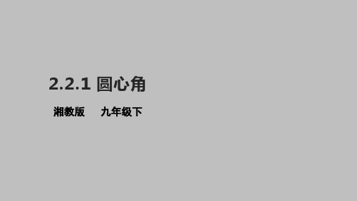 湘教版数学九年级下册2.2.1圆心角 同步课件