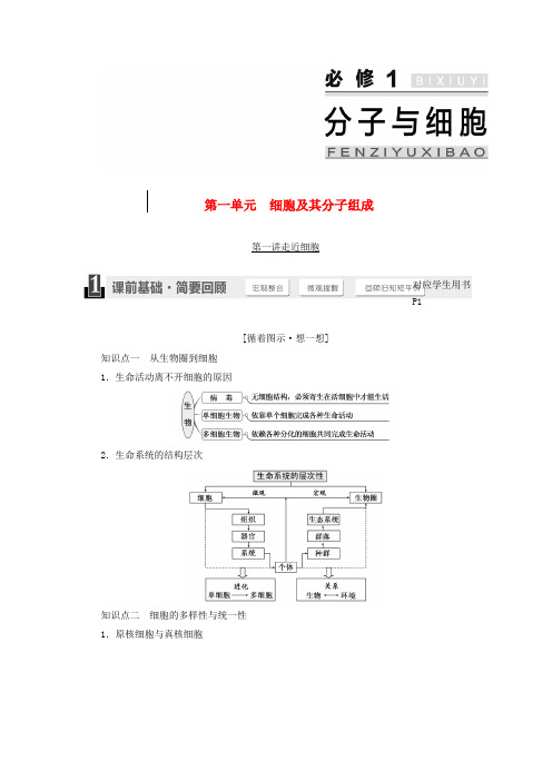 高考生物一轮复习第一单元细胞及其分子组成复习资料新人教版必修1