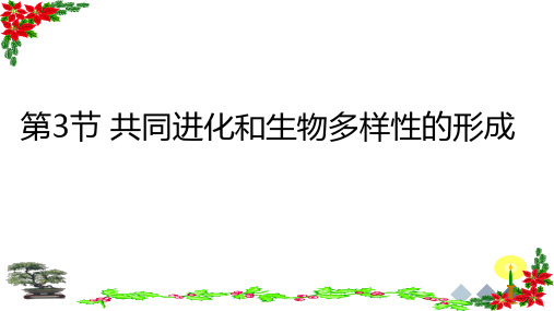 人教版高一年级生物教材必修二《共同进化和生物多样性》教学课件