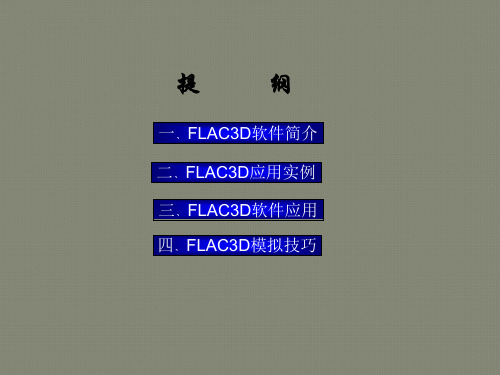 FLAC3D的实例应用分析