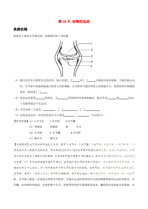 八年级生物暑假作业 第18天 动物的运动 新人教版