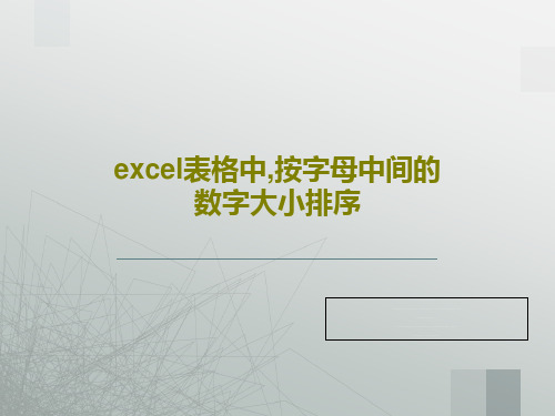 excel表格中,按字母中间的数字大小排序25页PPT