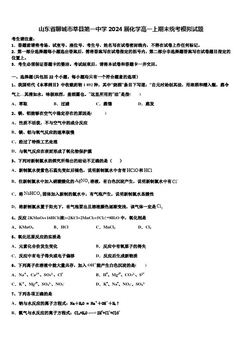 山东省聊城市莘县第一中学2024届化学高一上期末统考模拟试题含解析