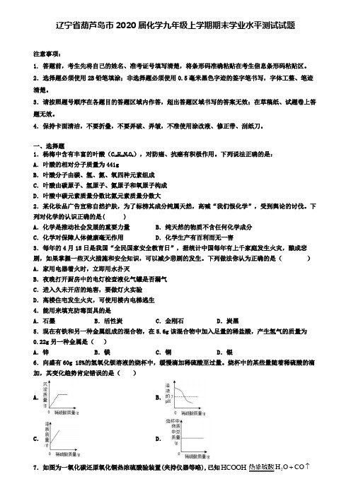 辽宁省葫芦岛市2020届化学九年级上学期期末学业水平测试试题