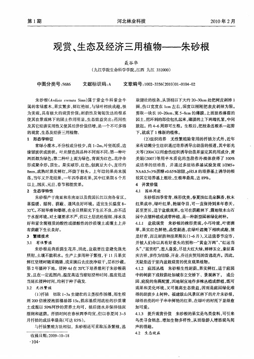 观赏、生态及经济三用植物——朱砂根
