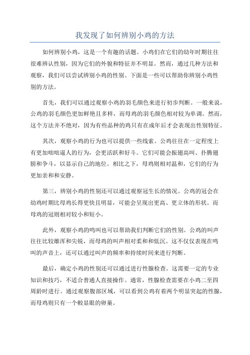 我发现了如何辨别小鸡的方法