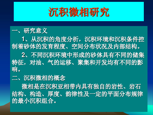 沉积微相