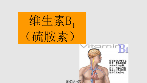 营养学水溶性维生素