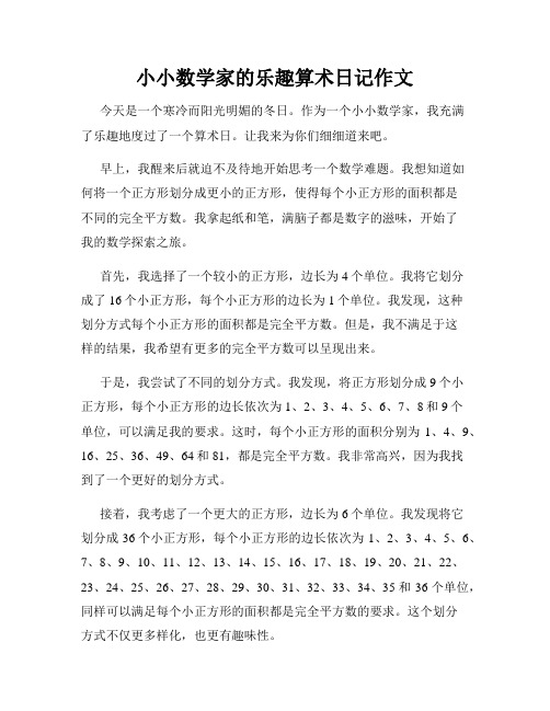 小小数学家的乐趣算术日记作文