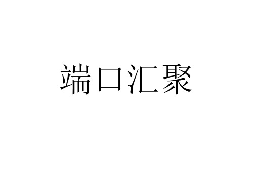 端口汇聚