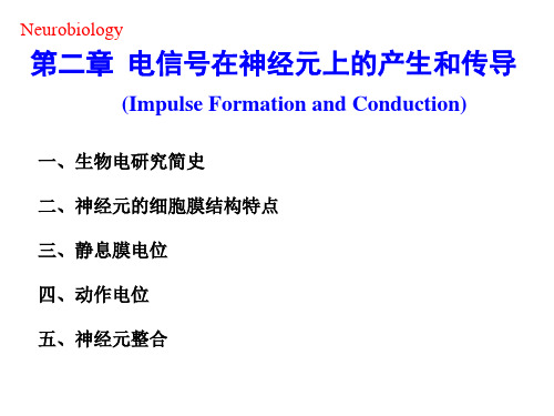 第二章电生理基础