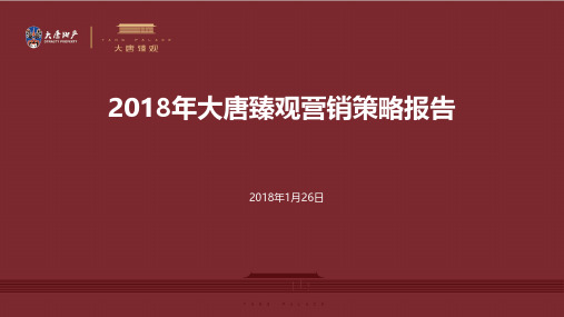 大唐臻观_2018年度营销推广策略及执行