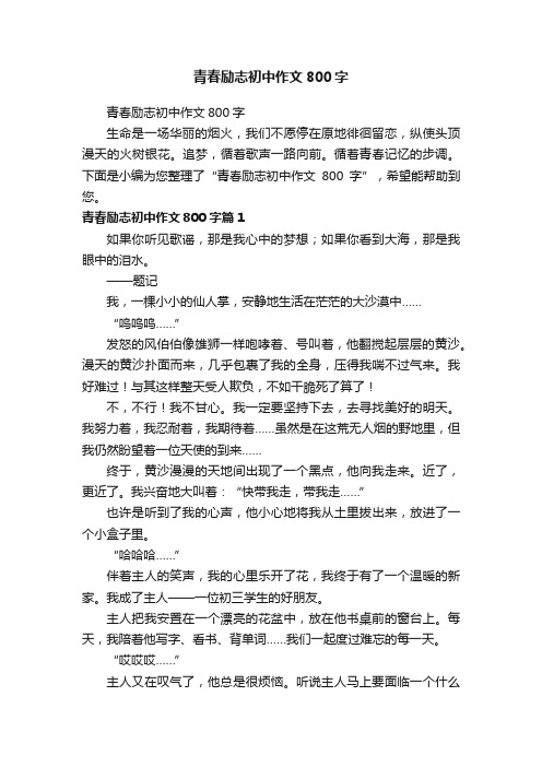 青春励志初中作文800字