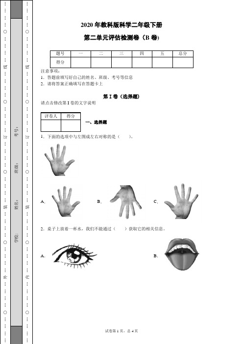 教科版科学二年级下册第二单元评估检测卷(B卷)