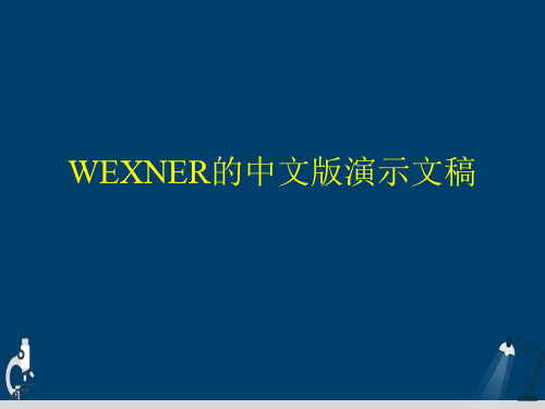 WEXNER的中文版演示文稿