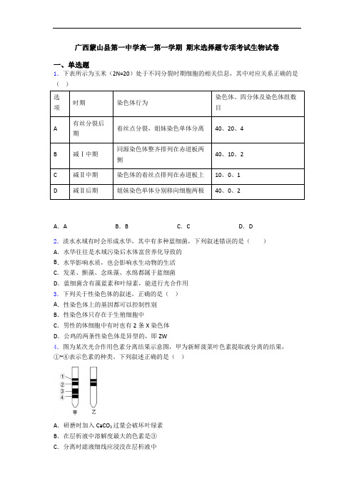 广西蒙山县第一中学高一第一学期 期末选择题专项考试生物试卷