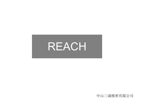 REACH培训教材