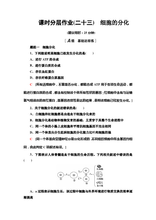 高中生物必修一 分子与细胞-高中必修1-第6章第2节细胞的分化-练习题