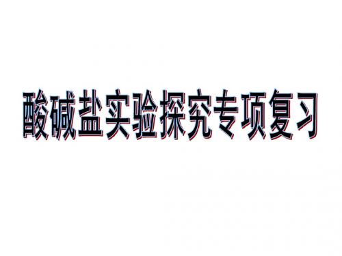 酸碱盐实验探究题专项复习课件