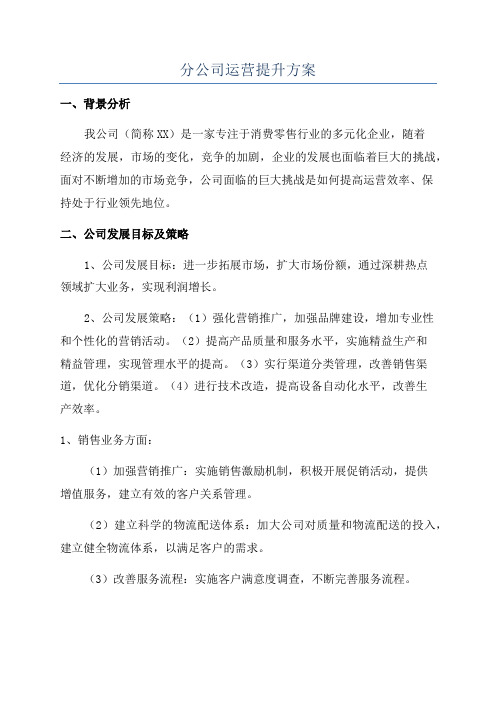 分公司运营提升方案