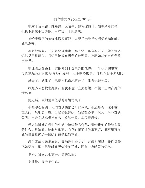 我心中的那个她作文500字