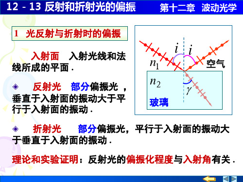 12-13 反射和折射光的偏振