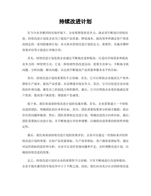 持续改进计划