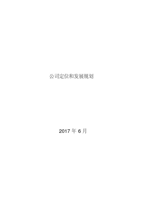 公司定位和发展规划