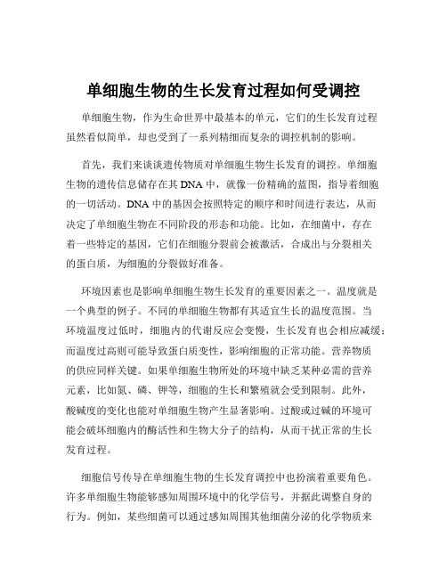 单细胞生物的生长发育过程如何受调控