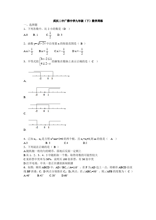 武汉二中广雅中学九年级下数学周练