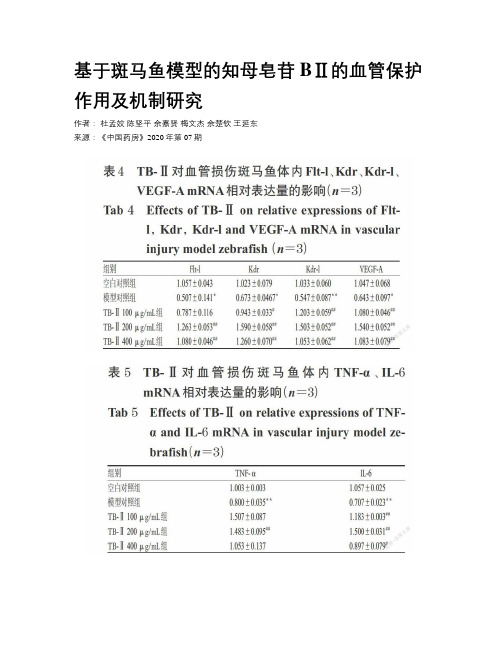 基于斑马鱼模型的知母皂苷BⅡ的血管保护作用及机制研究  