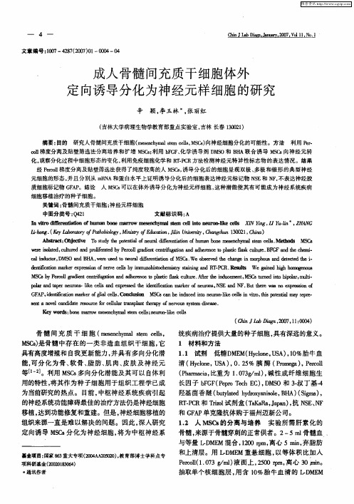 成人骨髓间充质干细胞体外定向诱导分化为神经元样细胞的研究