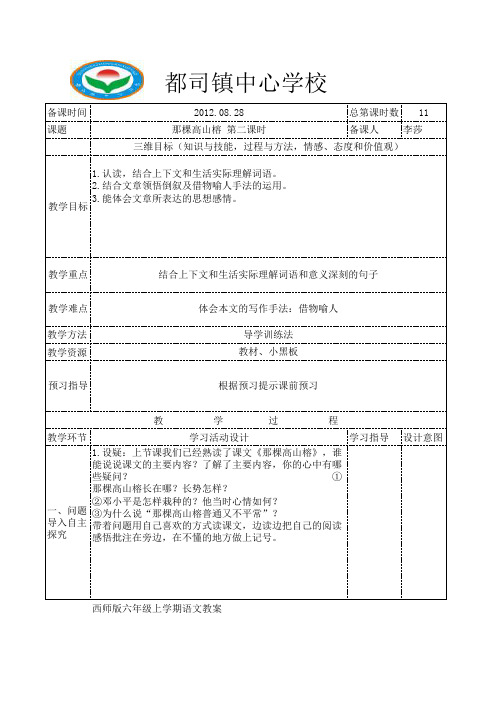 11 第六课 那棵高山榕2