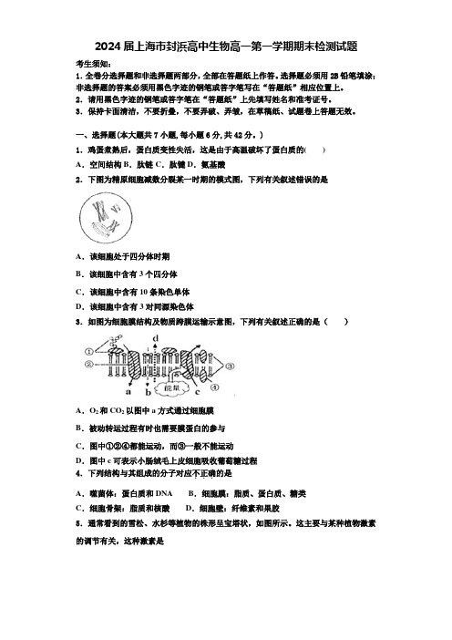 2024届上海市封浜高中生物高一第一学期期末检测试题含解析