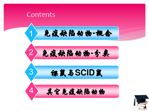 免疫缺陷动物