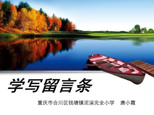学写留言条(省一等奖)
